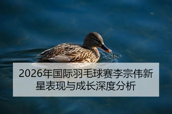 2026年国际羽毛球赛李宗伟新星表现与成长深度分析
