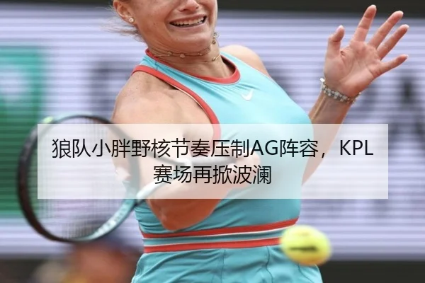 狼队小胖野核节奏压制AG阵容，KPL赛场再掀波澜