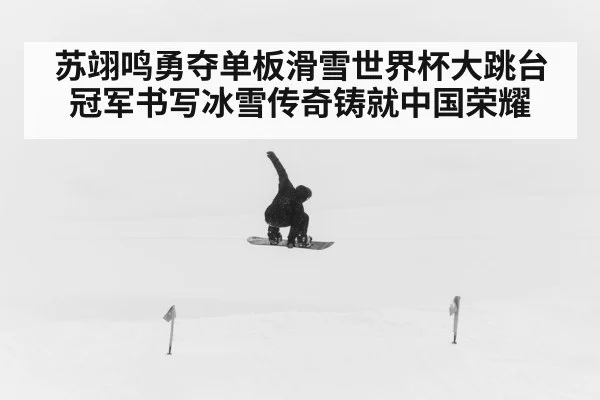 苏翊鸣勇夺单板滑雪世界杯大跳台冠军书写冰雪传奇铸就中国荣耀
